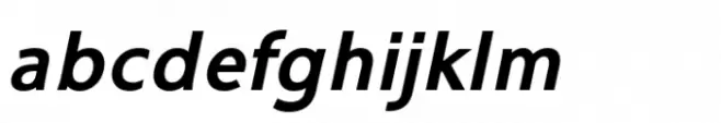 Ninova Bold Italic