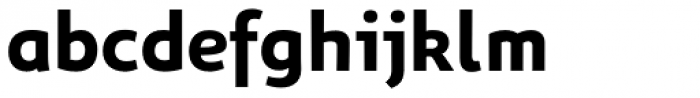 Niva Alt Bold