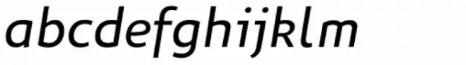 Niva Book Italic