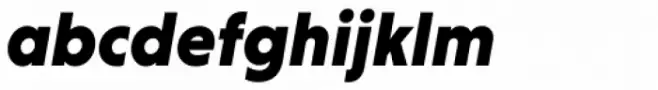 Niveau Grotesk Black Italic
