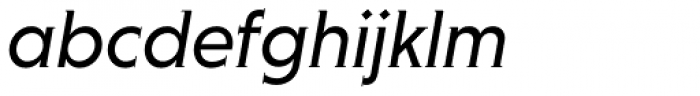Niveau Serif Italic