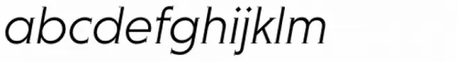 Niveau Serif Light Italic