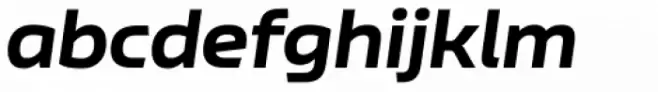 Nizzoli Alt Black Italic