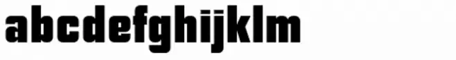NoExit Black Condensed