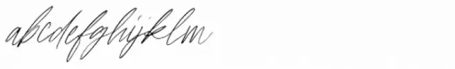 Noelle Script