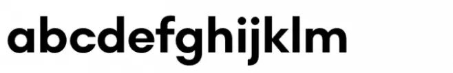 Noir No1 Std Bold