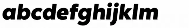 Noir Std Bold Italic