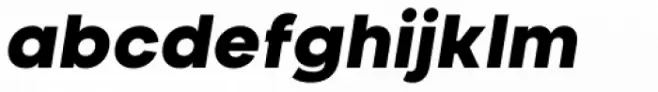 Nominee Black Italic