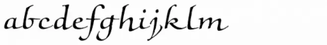 Noris Script Pro