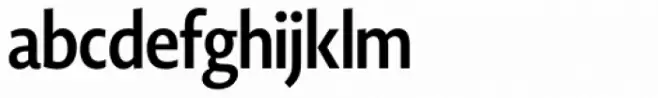 Novel Display Bold Extra Condensed