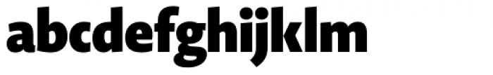 Novel Display Extra Black Condensed