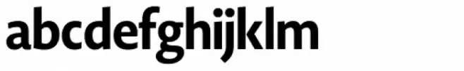Novel Display Extra Bold Condensed