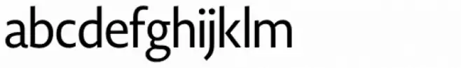 Novel Display Medium Condensed