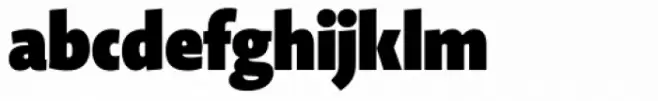 Novel Display Ultra Black Extra Condensed