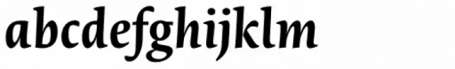 Novel Pro Bold Italic