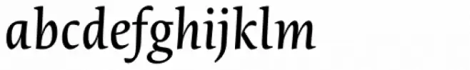 Novel Pro Italic