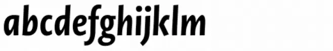 Novel Sans Condensed Pro Bold Italic