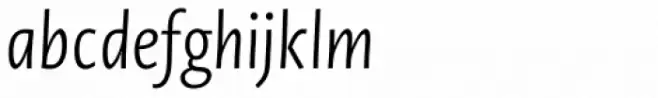 Novel Sans Condensed Pro Light Italic