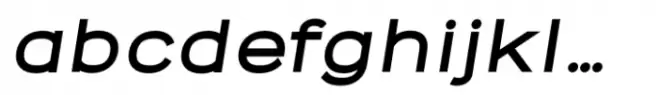 Novelin Black Italic