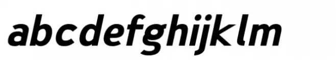 Nsai Bold Italic