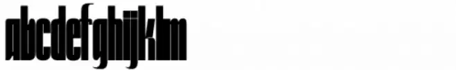 Nucliometer Bold Condensed