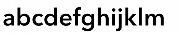 NX Sans SemiBold