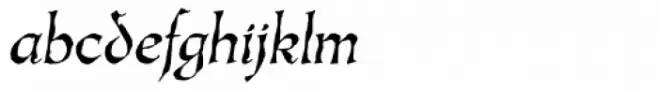 Oakgraphic Lx Italic