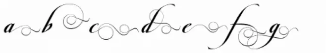 Obsession F