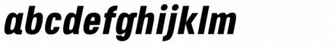 Octagen Black Italic
