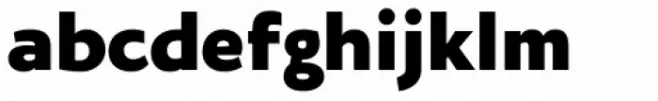 Oksana Sans Heavy