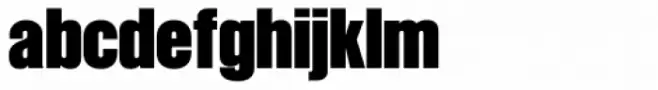OL Newsbytes Bold