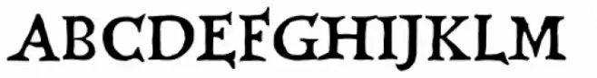 Olaus Magnus