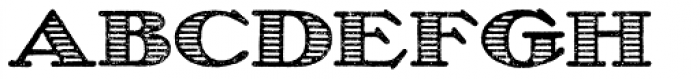 Olech Stripes