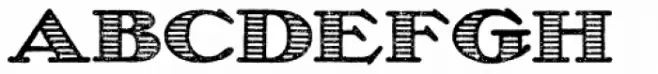 Olech Stripes