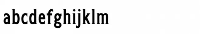 Olpal Serif Bold