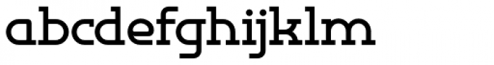 Omni Serif Bold