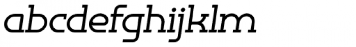 Omni Serif Medium Slanted