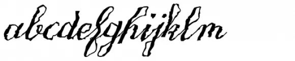 Only One Dollar Bold Italic