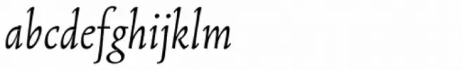 Opal Pro Italic