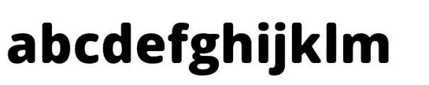 Open Sans Soft Ex Bold