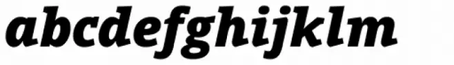 Open Serif Black Italic