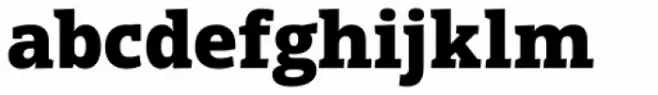 Open Serif Black