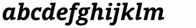 Open Serif Bold Italic