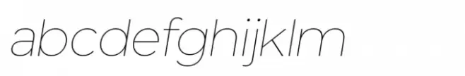 Optika Thin Italic
