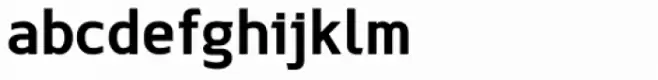 Option Sans Bold