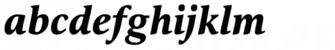 Orbi Black Italic