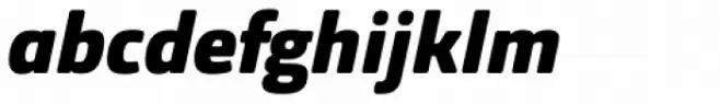 Orgon Black Italic