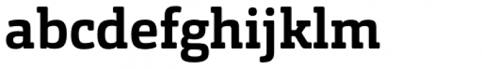 Orgon Slab Bold