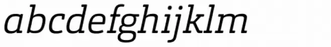 Orgon Slab Light Italic