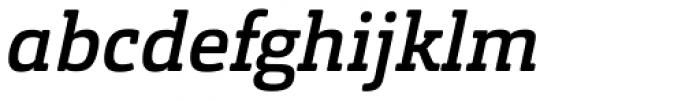Orgon Slab Medium Italic